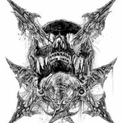 Shane R Hoopengarner