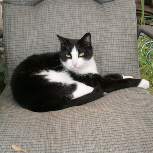 Publishing Radio Program