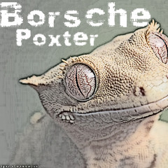 Borsche Poxter