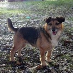 Mark Lightyear Moorehead