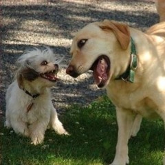 dontevenworryaboutit