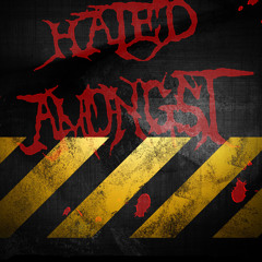 Hated Amongst