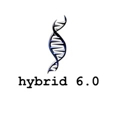 hybrid 6.0