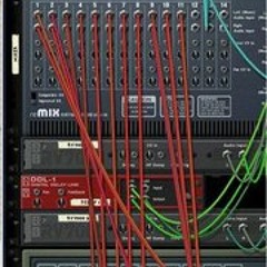 Never trust a bitch again