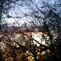 Sight Follows Sound