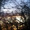 Sight Follows Sound