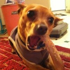 Kevin Chanthasiriphan