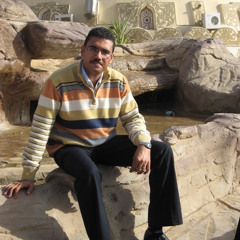 mikheal.shehata
