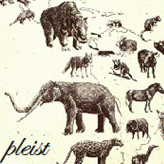 pleist