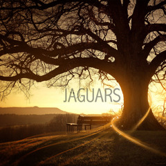 Jaguars1