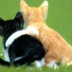 Christopher Joshua Apigo