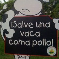 Janet Bravo Matienzo