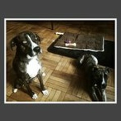 Shanté Paradigm Smalls