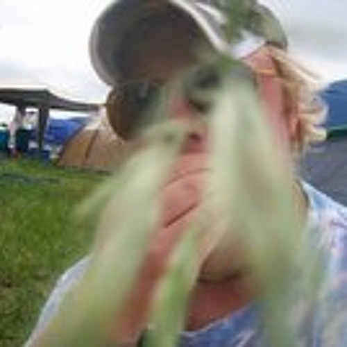 The String Cheese Incident - Way That It Goes      Roo 2011