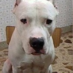 Gustavo Adolfo Marquez