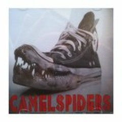 CamelSpiders