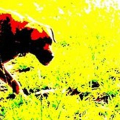 Wladimir Stempniak Mesko