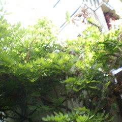 heroischvictorischgeluk