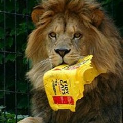 Rodolfo Emilio Treviño