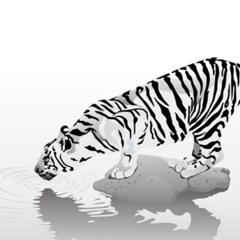 flared out and beet up