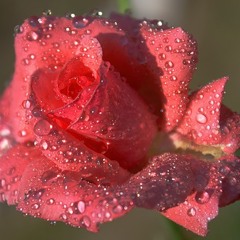 "Electric light orcestra'' Ticket to the moon