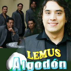 Lemus Algodon 1