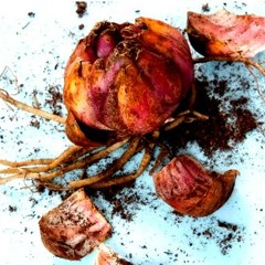 Mantra: Ripfuckirony