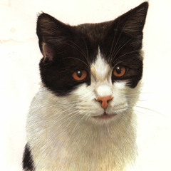 Severed Lips Recordings