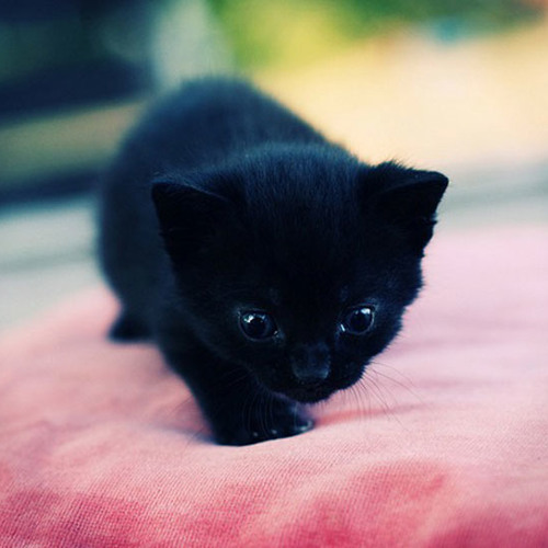 I Don't Want To Miss A Thing - Yuna Ito