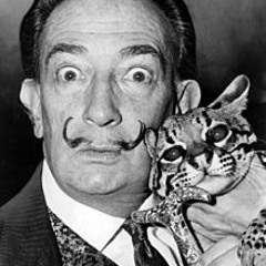 Me&Dalí