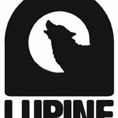 Lupine Wigan