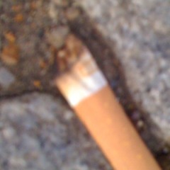 cajunrockfunkpunk lvr