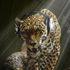 All Defqon 1 Anthems (mixed By Riverflow)