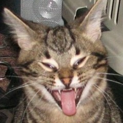 Pittbull & DJ Tiesto mix