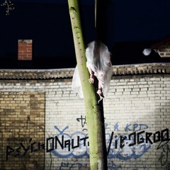 Psychonautic Vibrogroove