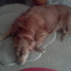 Ileana Aurora Maciel