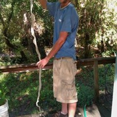 jam/funk/blues/chill