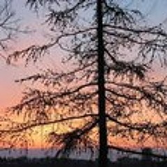 Tayha TerryJo Anderson