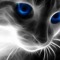 BinX