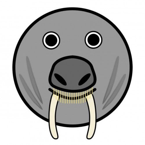 Stream I am the Walrus music | Listen to songs, albums, playlists for