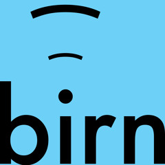 theBIRN