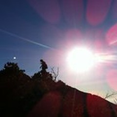 wild_something