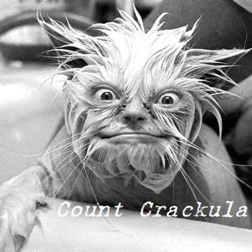 Stream Count Crackula music | Listen to songs, albums, playlists for ...