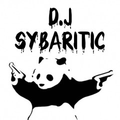 DJ Sybaritic