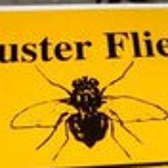 Kyle De La Streetcat