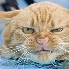catax