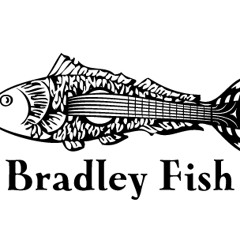 Bradley Fish
