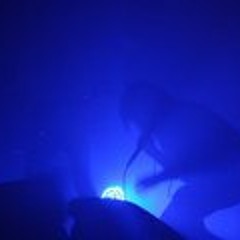 Dylan Gillies-Parsons