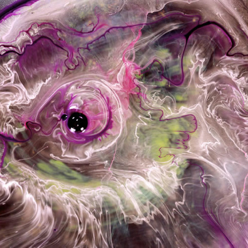 La polymorphose du lapin gris