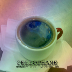cellophanemonkey